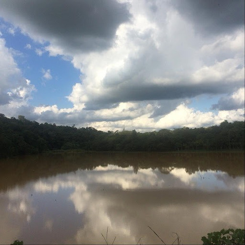 Chácara À Venda, 8200 M² Por R$ 990.000,00 - Guacuri - Itupeva/sp - Ch0155