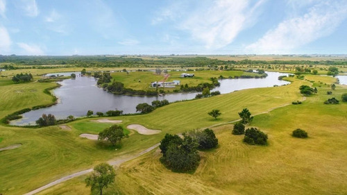 Imagen 6 de 19 de Carmelo Golf