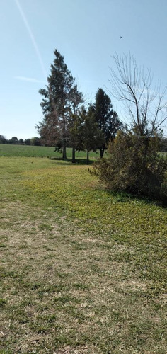 Imagen 6 de 7 de Campo - Pujato Norte