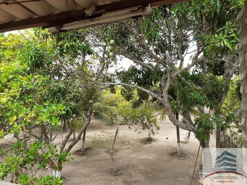 Imagem 10 de 25 de Granja A Venda Em Macaíba