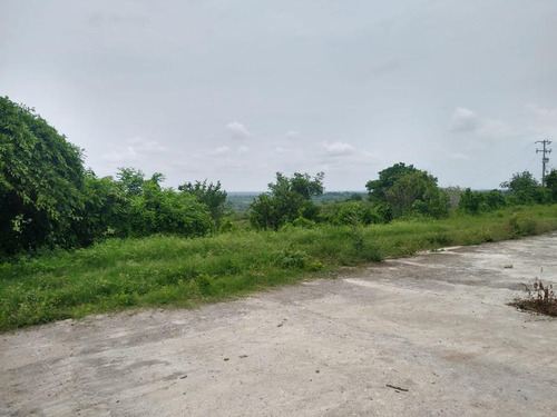 Venta Rancho 109 Has Autopista A Tampico En Tamiahua Veracruz