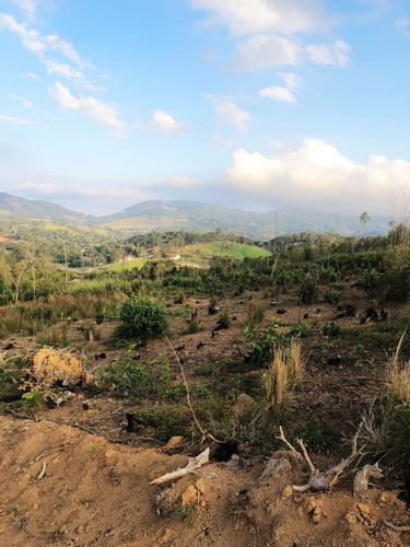 Imagem 20 de 25 de Ll- Vende-se Terreno Com Acesso Para Represa
