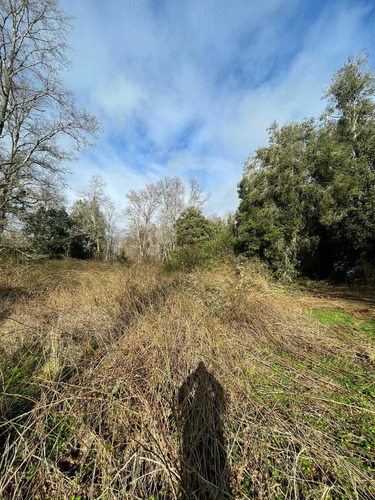 Parcela 6300m2 Arboles Nativos (105986)
