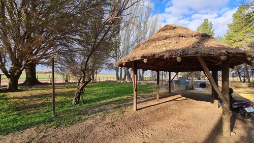 Venta Finca 51ha Con Dos Pozos Lujan