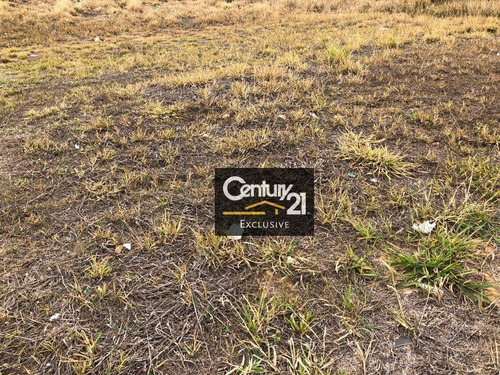 Imagem 5 de 10 de Terreno À Venda, 695 M² Por R$ 850.000,00 - Jardim Veneza - Indaiatuba/sp - Te0305