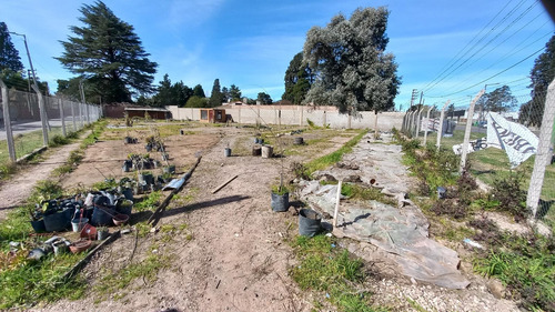 Venta Y Alquiler Lote Zona Industrial - Malvinas Argentinas