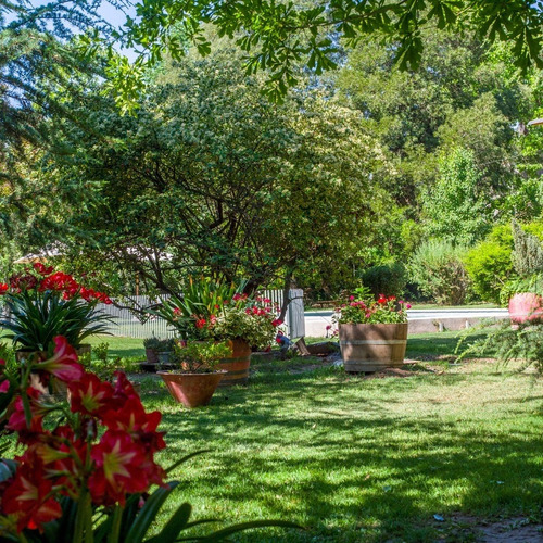 Espectacular Parcela Con Casa En Calera De Tango; ...