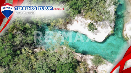 Cenote Con 17.5 Hectareas Con Frente De Carretera