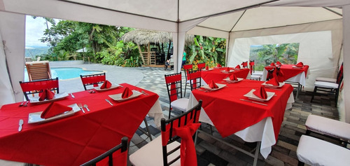 Carpas Sillas Cocteleras Mesas Salas Lounge Calentador