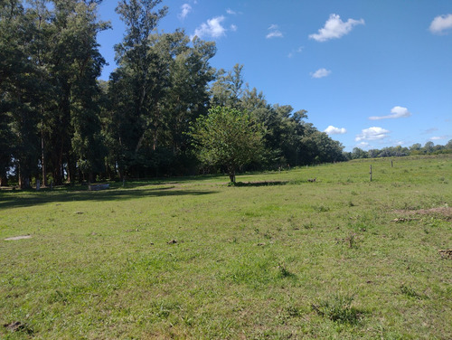 Campo En Venta Sobre Ruta 6, Marcos Paz