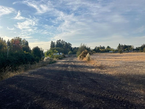 Imagen 2 de 8 de Agrícola En Venta En Curicó