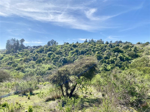 Sitio En Venta En Concón. Barrio Privado Lomas Del Mauco