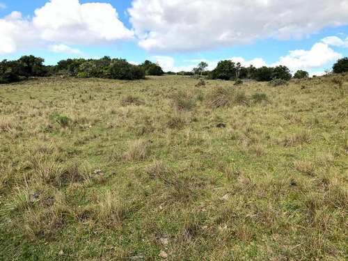 Se Vende Fracción De 66 Has En Villa Serrana. Ubicación Privilegiada Sobre Ruta! Gran Potencial Y Oferta De Recursos Naturales!