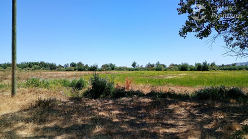 Parcela En Arriendo Anual Para Cultivo O Talaje En Linares