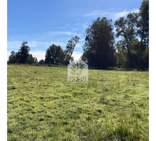 Parcela 0,5ha Rio Bueno, Sector Crucero - Rio Sur Corretajes