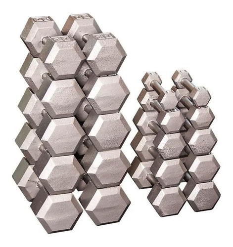 Mancuerna Especial Gris Plata De Fundicion 27,5 Kg Gym Metal