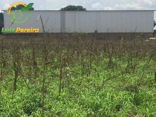 Imagem 11 de 11 de Fazenda À Venda No Vale Do Araguaia - To - 1.108 Hectares (dupla Aptidão) - 2101