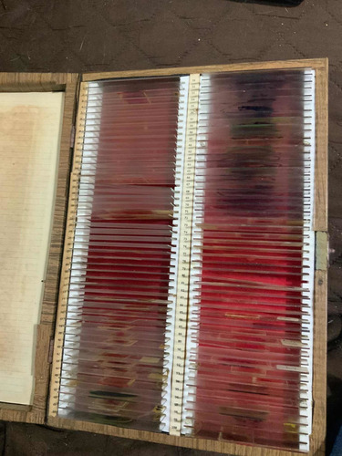 Microscopio Suift Antiguo Y Cortes Histología De Colección (Usado)