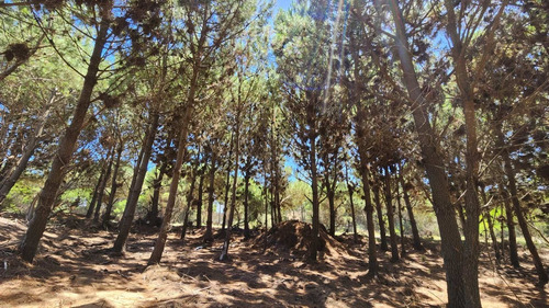 Imagen 18 de 21 de Venta Lote Maritimo Iii - Costa Esmeralda