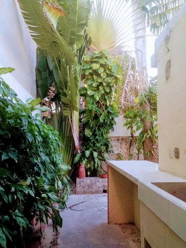 Casa De 4 Recámaras En Renta O Venta En García Ginerés