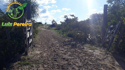 Imagem 9 de 9 de Fazenda  Venda Em Breu Branco - Pa - 2662 Hectares (dupla Aptidão) - 1854