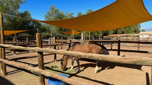 Parcela Con Caballerizas Y Corrales
