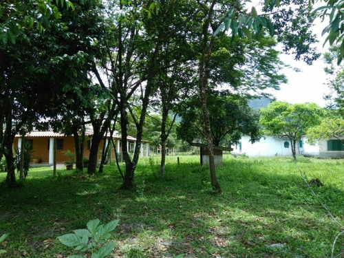 Imagem 4 de 14 de Terreno De Chacara - 0 - 4410795