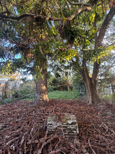 Venta Casa Con Amplio Jardín Con Arboleda Lote 394 M2 / En Capilla Del Señor