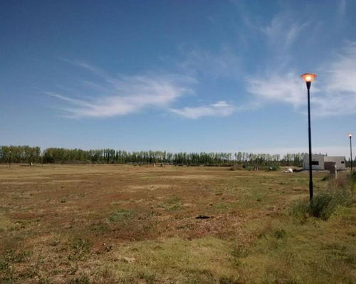 Imagen 4 de 6 de Lote Barrio Estilo Chacra Cipolletti