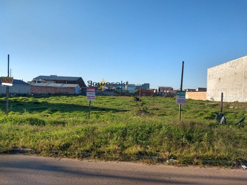 Imagem 4 de 10 de Terreno Para Alugar No Bairro Vargem Grande Em Pinhais - Pr. - 7169-2