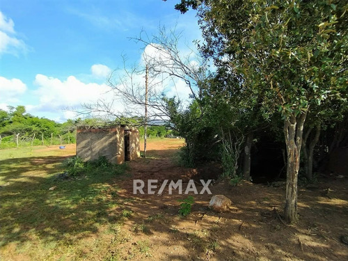 Imagen 8 de 9 de Re/max 2mil Vende Terreno Agricola En Santa Ana - Isla De Margarita