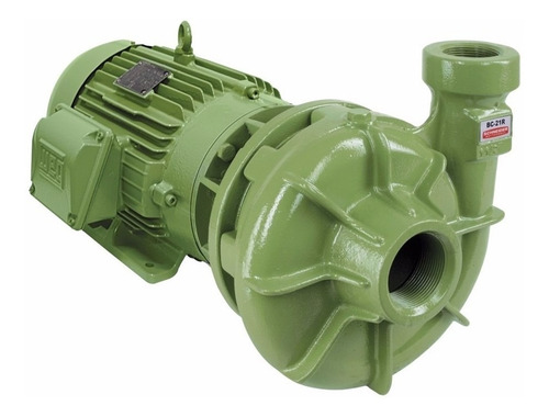 Bomba D'água Centrífuga Bc-21 R 2 1/2 7,5 Cv Mono Schneider
