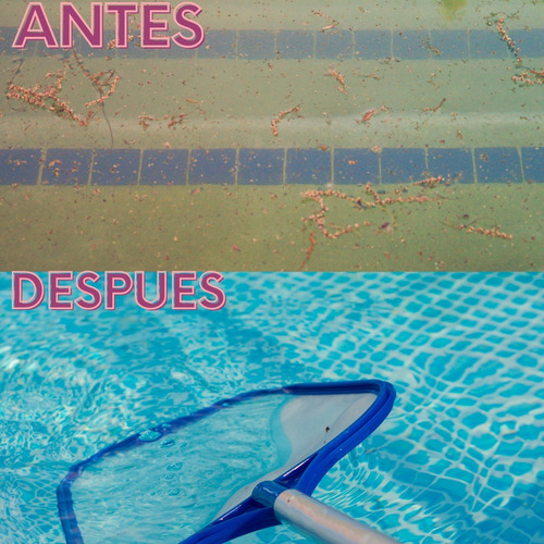 Imagen 3 de 7 de 50 Pastillas De Cloro Piscina O Alberca, Tinaco, Inodoro