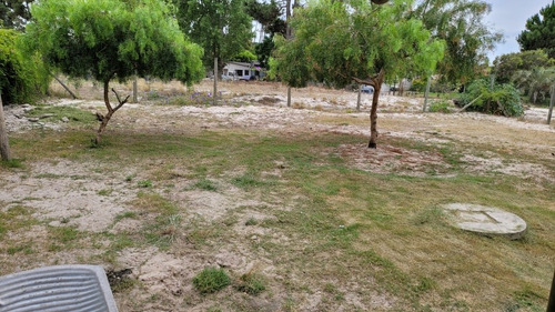 Imagen 5 de 14 de Alquilo Casa 2 Dormitorios Y 1 Baño