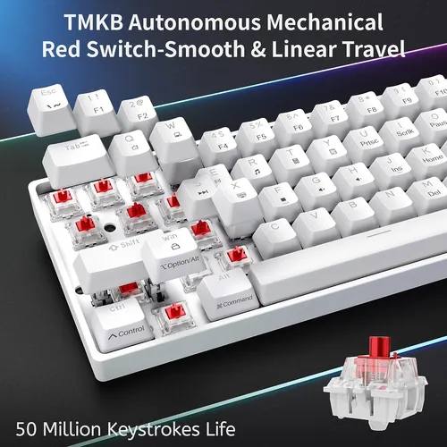 Teclado Mecánico Dierya Dk61se, Led, Usb-c, 60 %, Blanco