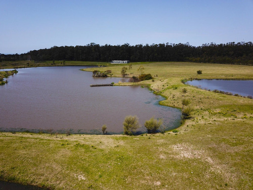 Imagen 9 de 30 de Terreno Lote En Venta Ubicado En Playa Brava, Punta Del Este, Punta Del Este / Maldonado