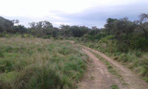 Campo En Venta En Las Lomitas, Formosa