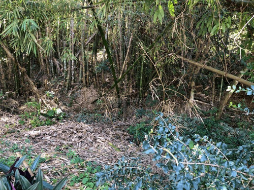 Imagem 4 de 12 de Terreno À Venda, 360 M² Por R$ 100.000,00 - Rio Do Ouro - Niterói/rj - Te2588
