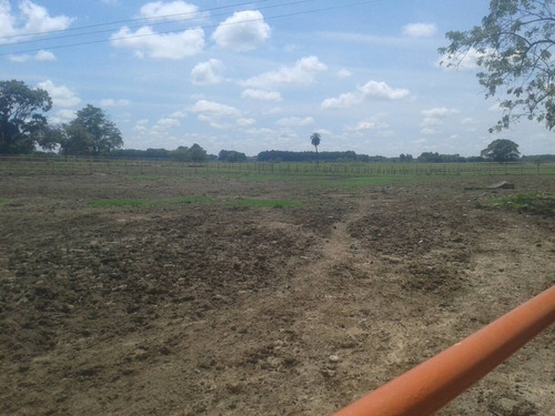 Imagen 20 de 22 de Finca Sector Caroní Estado Barinas En Venta