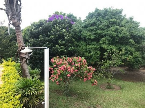Imagem 13 de 20 de Chácara À Venda Em Pinhalzinho/sp - 0040