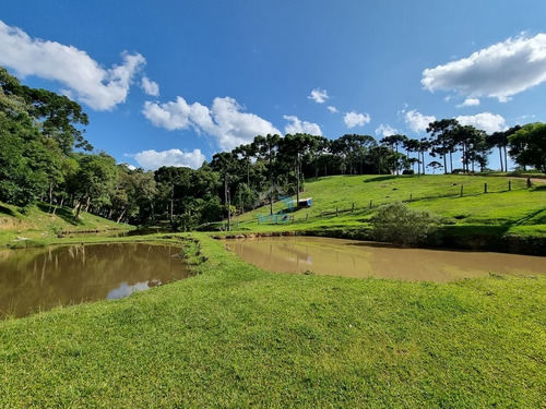 Imagem 17 de 30 de Linda Chacará Com Mais De 36.000 M², Situada Na Cidade De Quitandinha, Paraná. - Ch00019 - 70570203