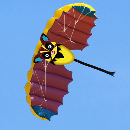 Frameless Kite Com 30m Kites String Flying Kites Parafoil