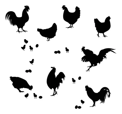 comprar Superdant Calcomanías De Pared De Gallo, Calcomanías De Arte
