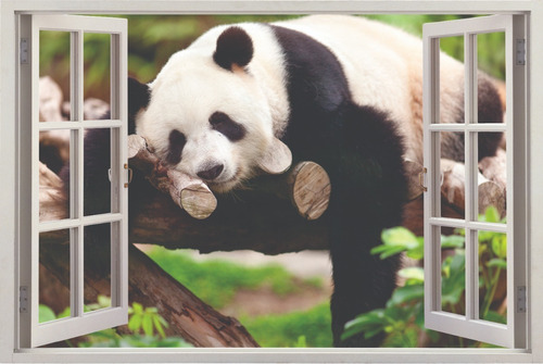 Adesivo Parede Animais Urso Panda Montanhas China Ásia