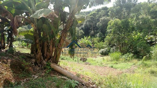 Imagem 7 de 15 de Área No Centro De Caucaia. Oportunidade Para Investir! - 202
