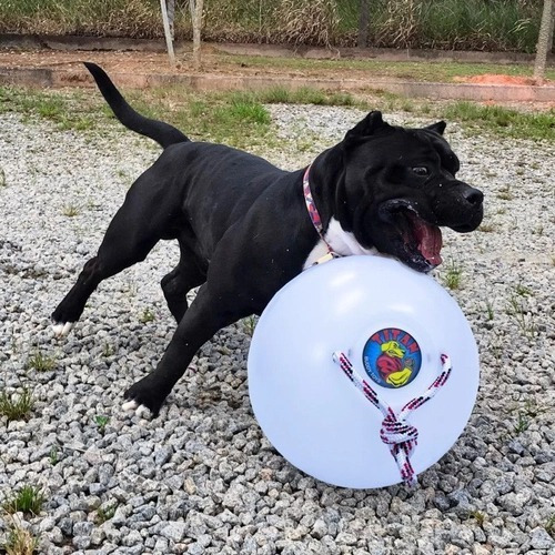 Titan Super Bola Buddy Toys Branca 42cm