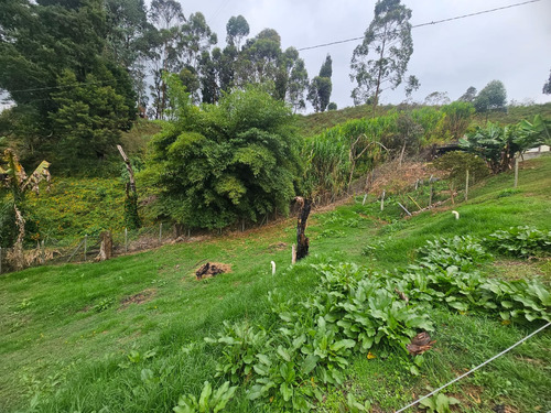 Venta De Finca En Guarne - Vereda La Clara Parte Baja