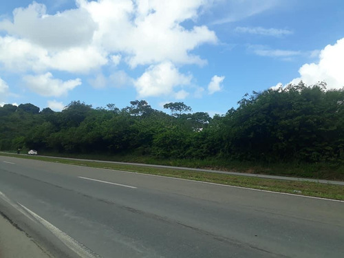 Imagem 6 de 10 de Área Em Centro, Cabo De Santo Agostinho/pe De 21000m² Para Locação R$ 3.000,00/mes - Ar562808-r