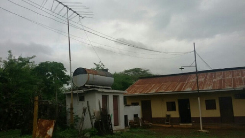 Imagen 5 de 14 de Finca En Venta En San Jose De Guaribe