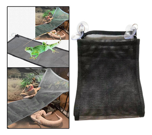 Nuevo Reptil Hamaca Geckos Dragón Barbudo Serpiente Lagarto
